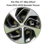 Used Factory OEM Hyundai Center Cap 2 3/8" Diameter Button Center Cap 52960-3S120 - Factory Wheel Replacement